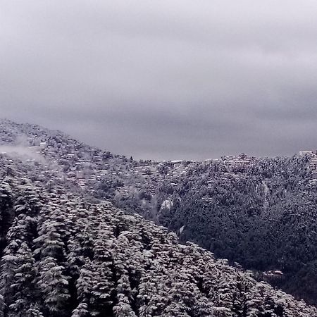 Отель Shimla Regency Экстерьер фото