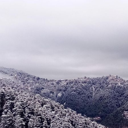 Отель Shimla Regency Экстерьер фото